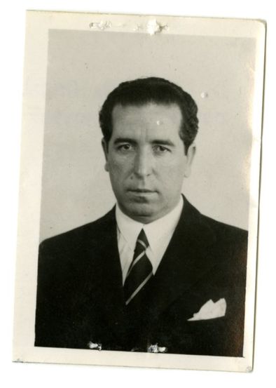 carlavilla el diario