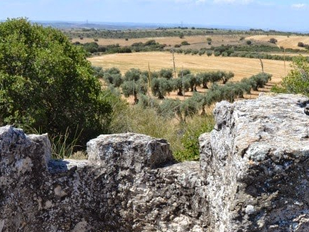 COTA 700, BATALLA DEL JARAMA